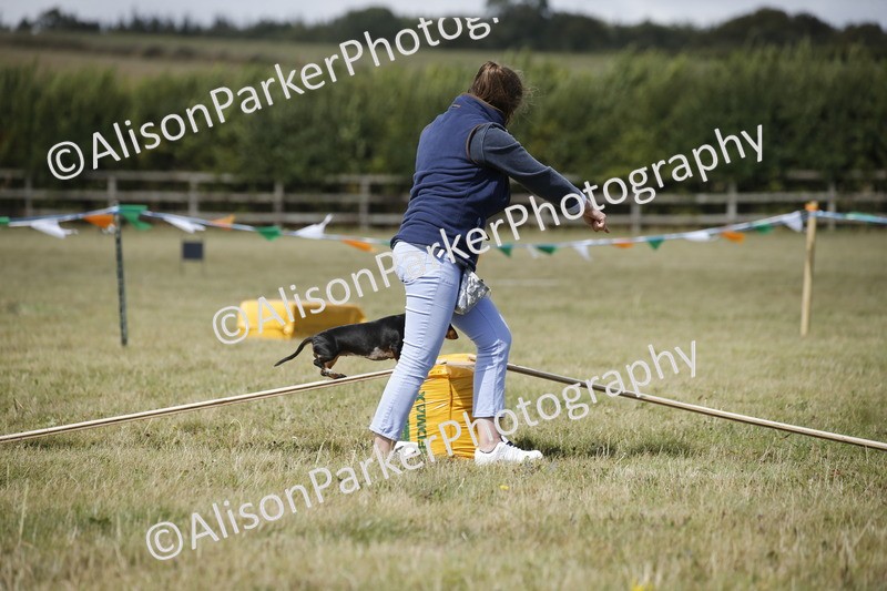 20250831-3833 - Dog Show