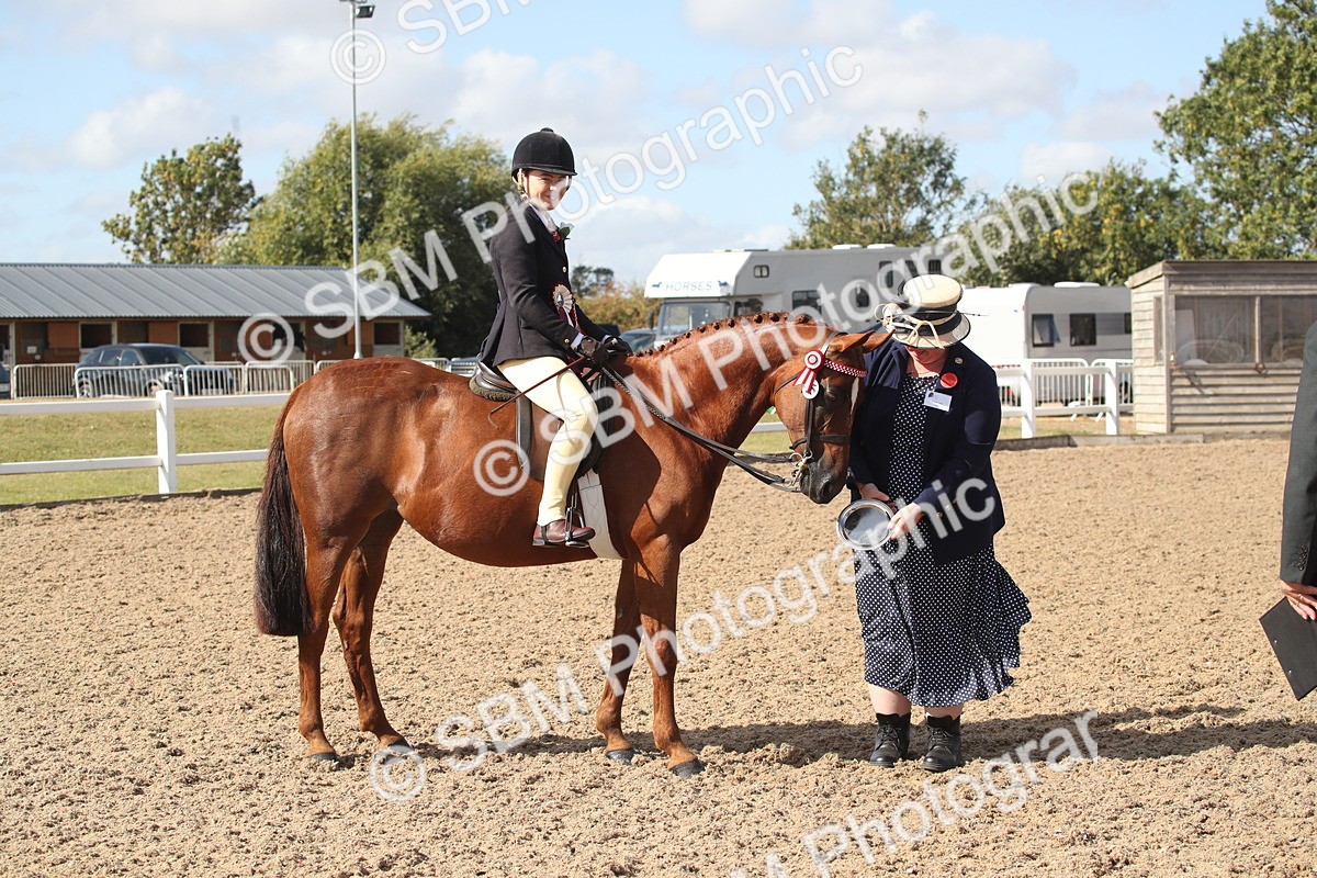 SBM_22981 - Class 603 - 2026 - Ridden Pre Vet