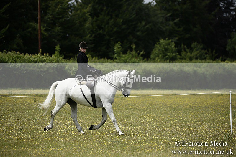 BVR160717-1633 - Side Saddle Classes 16/07/17