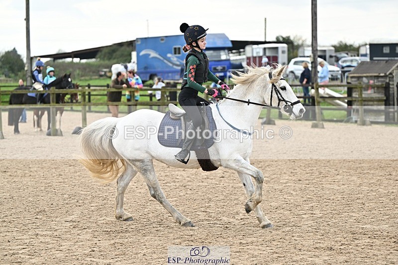 241110-124408-00747 - 50-55cm Arena Eventing