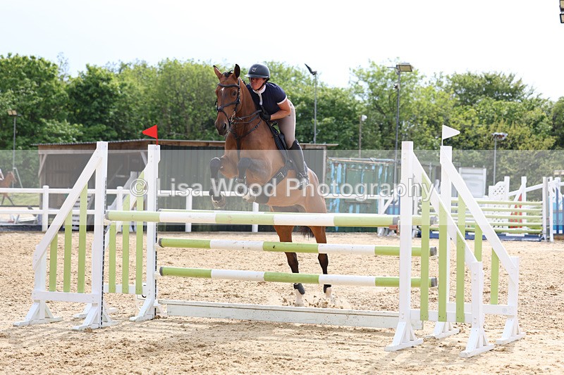 3E7A7712 - Class 8: Senior Foxhunter/1.20 open