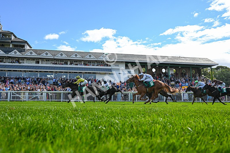 050926-Race 2-This Moment-6273 - Race 2 2.05pm JW4X4 Northallerton Nursery Handicap