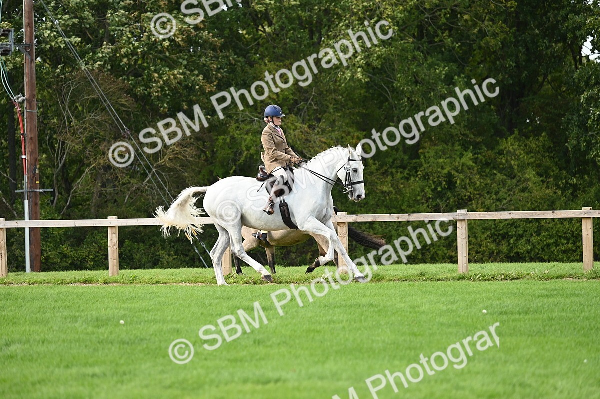 SBM_26402 - S6 - Novice & newcomer Ridden horse