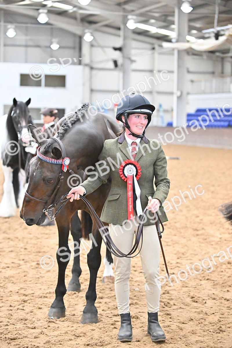 SBM_000737 - Class 14 - SSADL In Hand Championships