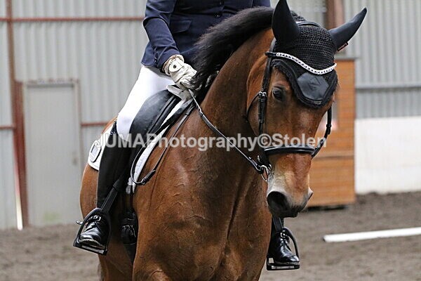 SIAL4922 - CAbin Dressage 5th july 2025
