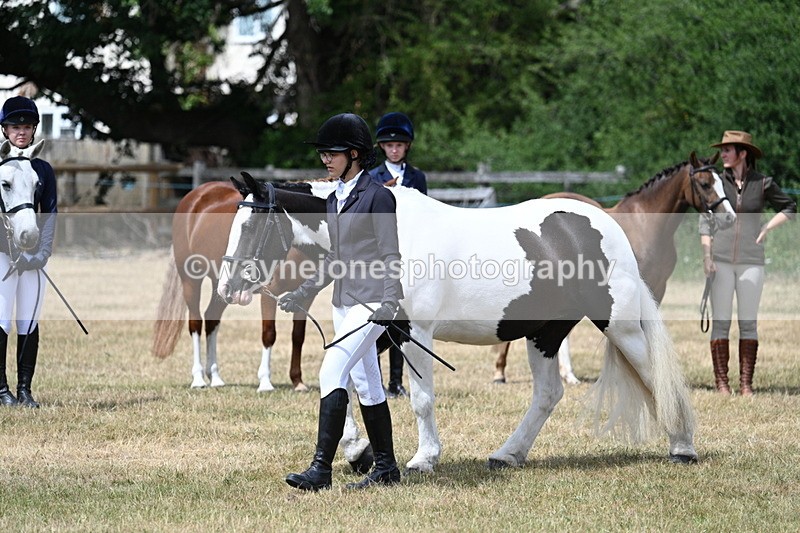 WJ7_1727 - Class 4 Prettiest Mare up to 14.2hh in hand