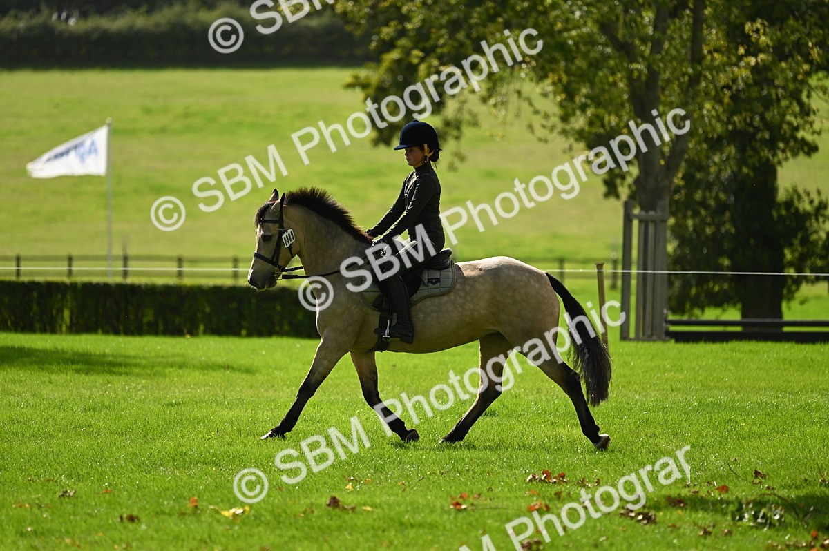 SBM_02887 - S3 - TSR Ridden Pony Showing