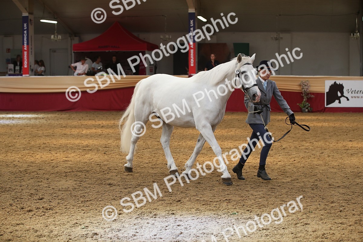 SBM_05644 - Class 9R - Regional IH Pre-Vet