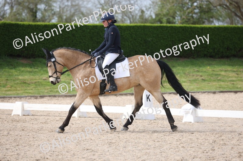 20260404-0873 - Class 5 - Novice 2