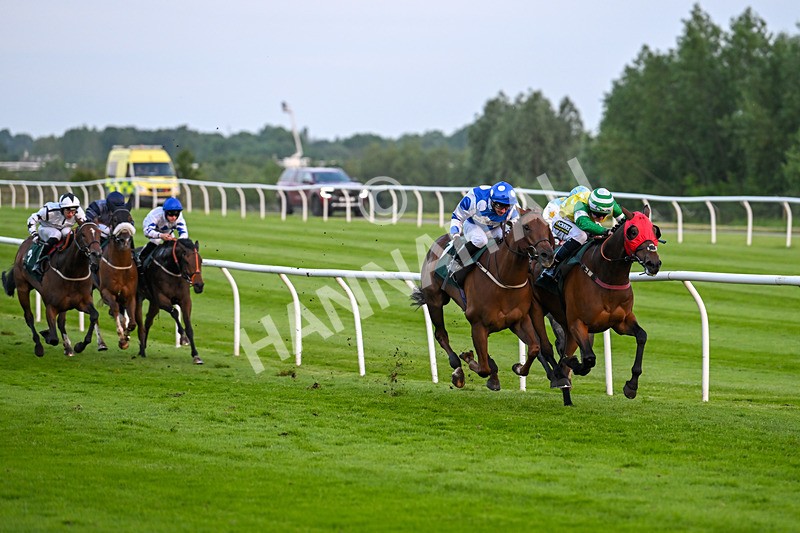 310524-Race 6-Mister Sox-9033