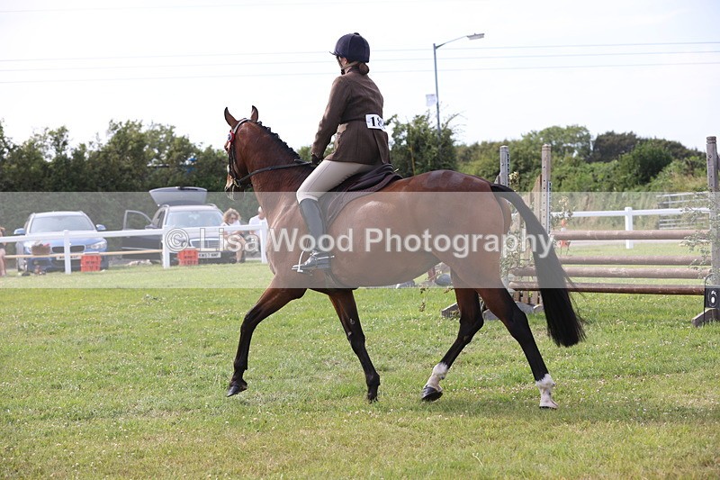 JPP_4245 - Class 25: Working Show Horse