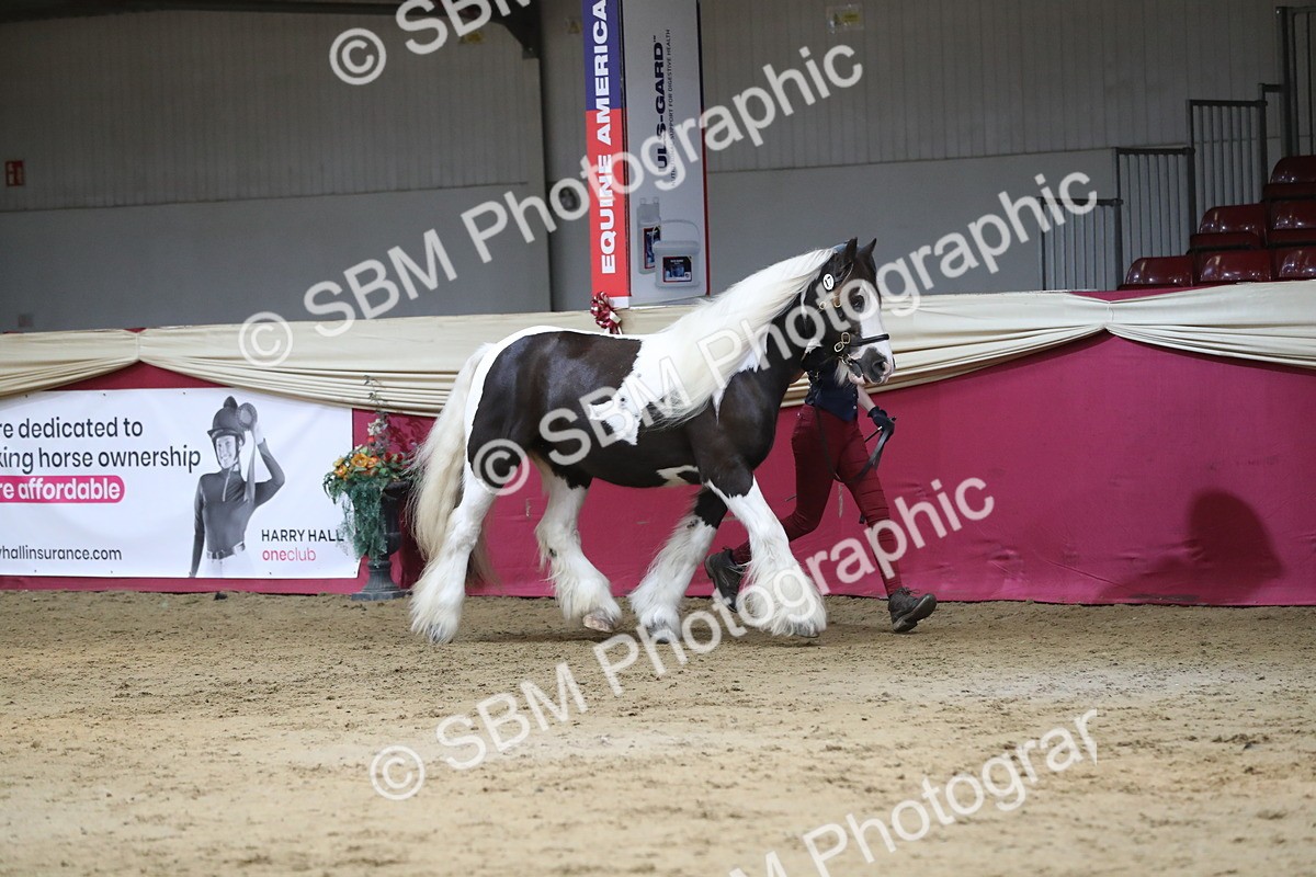 SBM_06234 - Class 9R Regional- IH Pre Vet