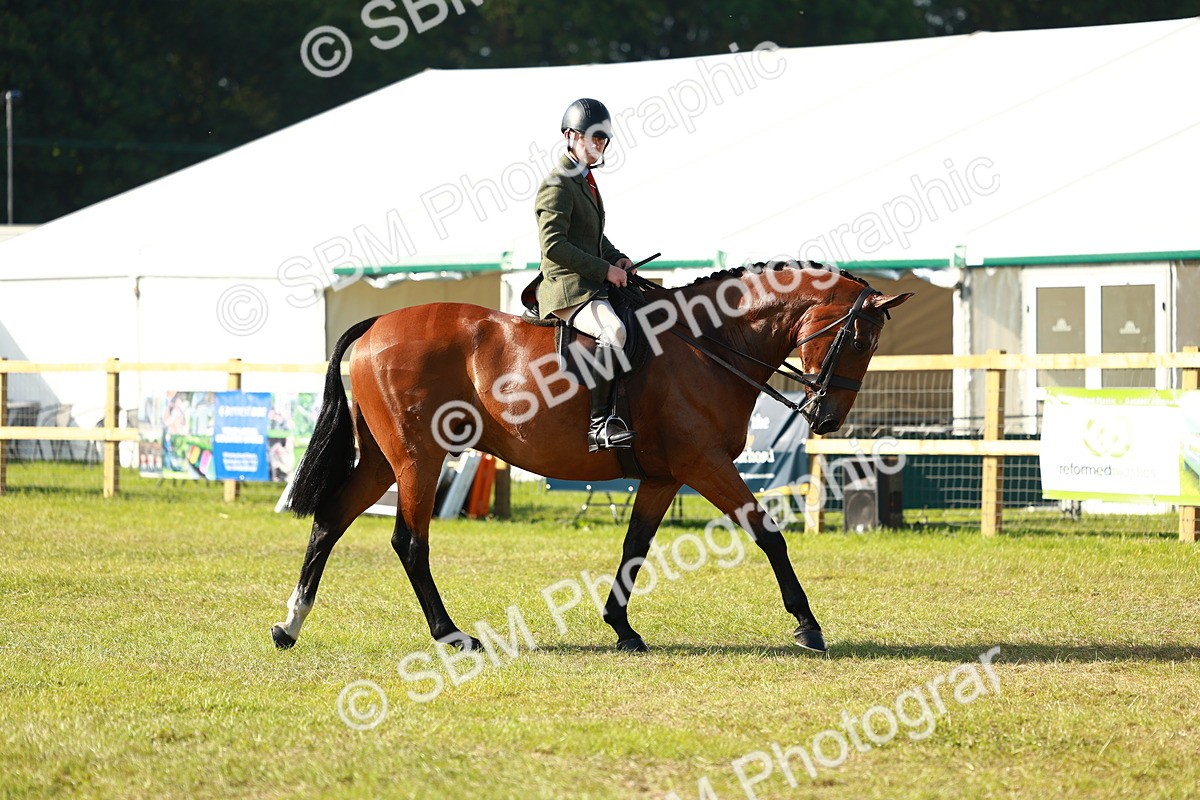 SBM_10824 - Class 66-69 - RIHS Ridden Hunters Inc Small Hunter