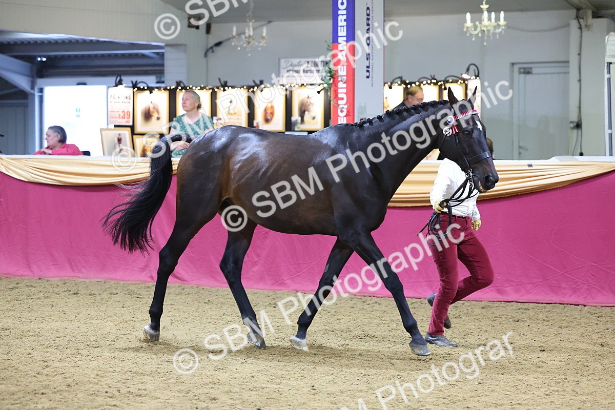 SBM_20784 - Class 902 - Supreme Final IH Veteran