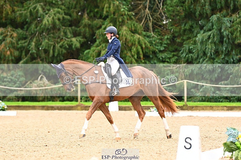 231020-153122-11848 - 213-MGH.HILDARE.HARLEQUIN-Danielle.Mccormack-DR