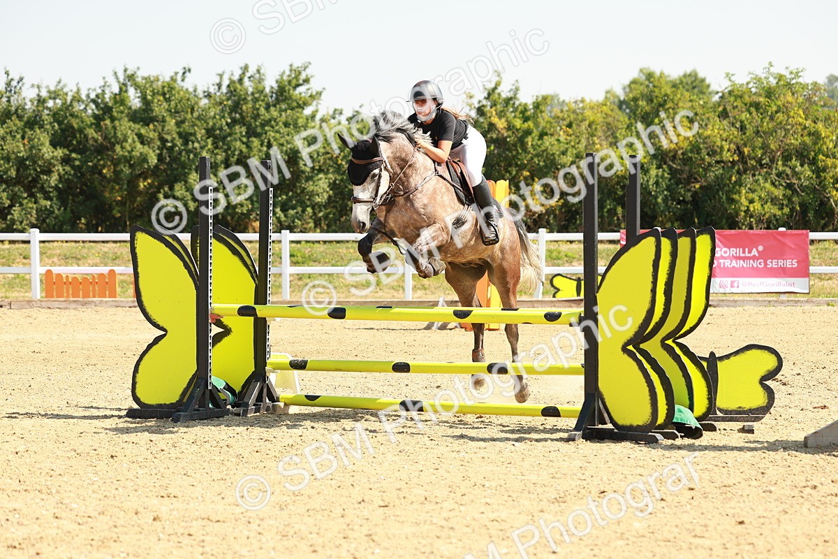 SBM_000237 - Class 2 - Senior British Novice - 90cm