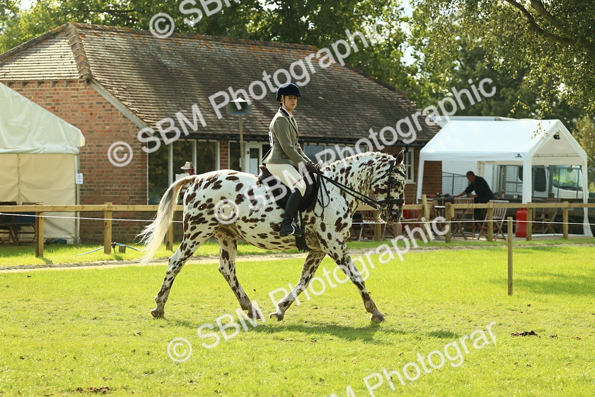 SBM_62388 - S62 - Foreign Breeds Ridden