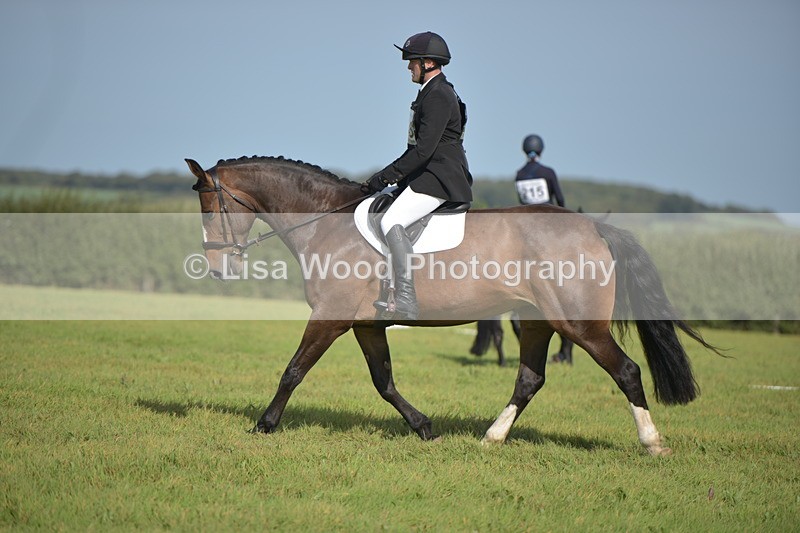 RAY_8038 - Class 2B: Trekenning Open: Dressage