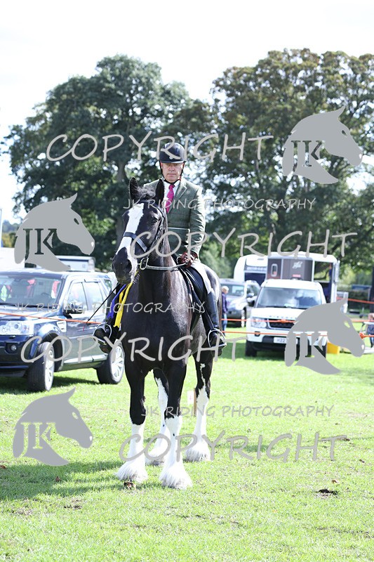 APP_3672 - Class 8 Ridden Class