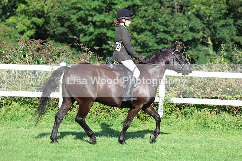 3E7A7555 - Class 1: Novice Working Hunter Pony