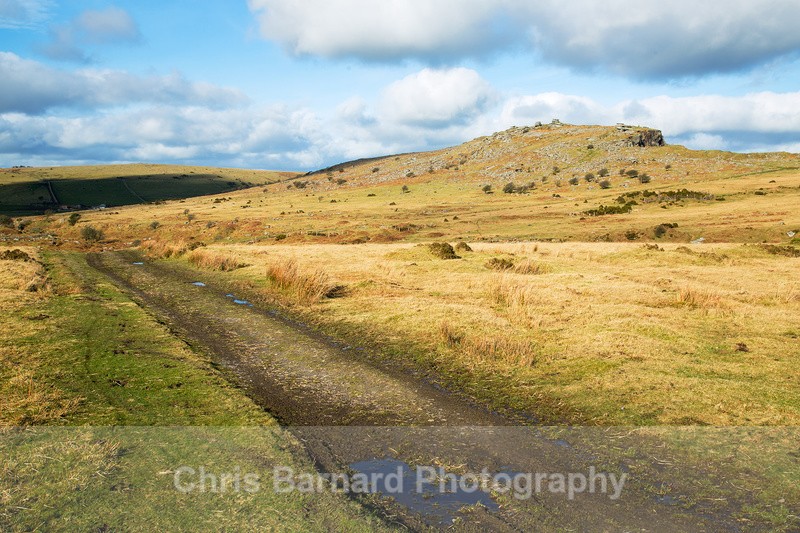  - Bodmin Moor