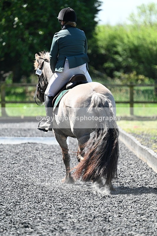 WJ7_9339 - Time 12:10 to 12:21