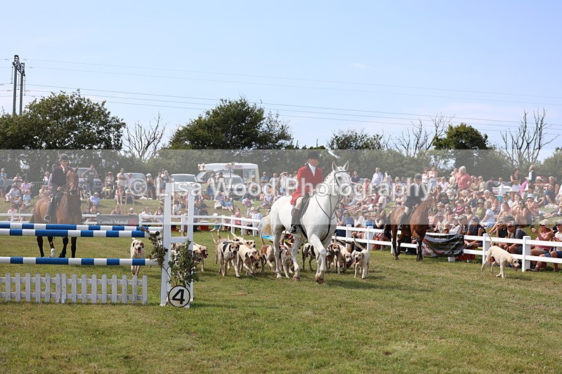 3E7A0128 - Parade of Hounds