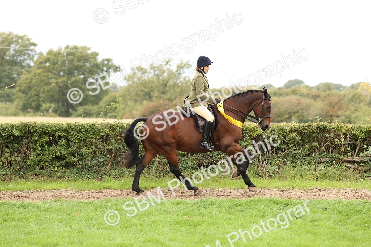 SBM_66419 - S66 - Hunter Ridden