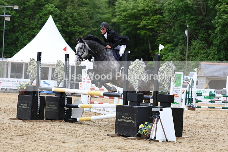 3E7A6199 - Class 4: Senior British Novice/90cm open