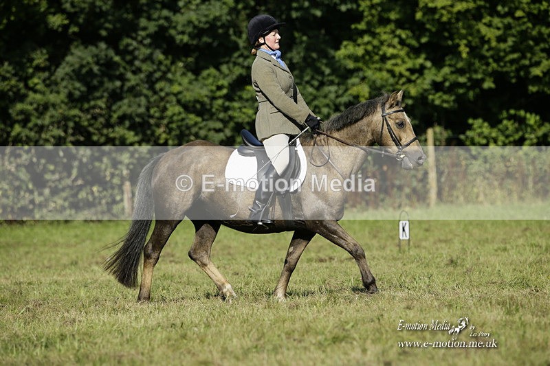 BVRC 120921 154 - Bourne Valley Riding Club UA Dressage & Show Jumping 12/09/21