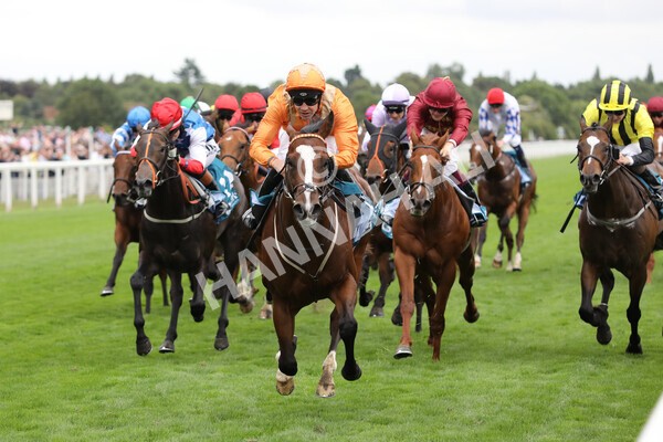 yr17082022r7-26 - Race 7 5.20pm Sky Bet Nursery Handicap