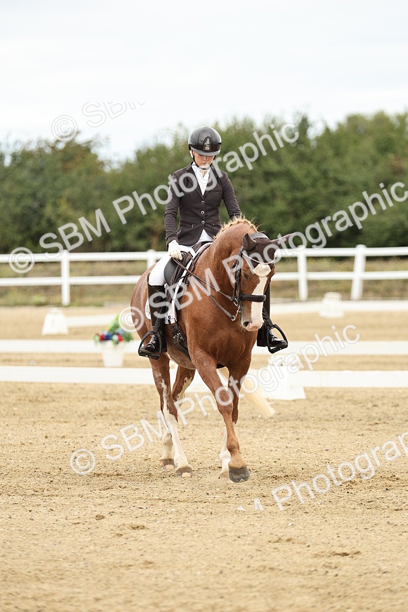 SBM_006545 - Class 21 - Medium 5 Bronze - 9.08-9.48