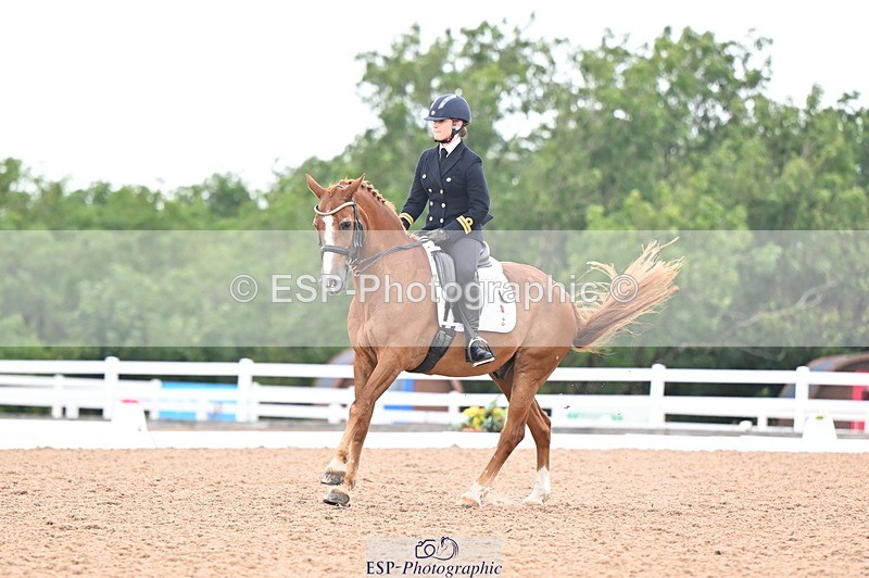 240815A-140337-01745 - 170-India.John-Grayswood.Orlando