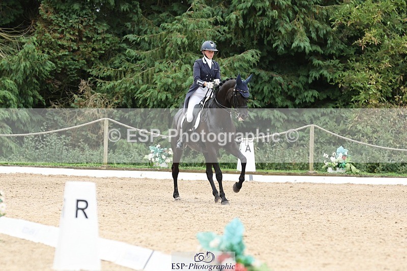 240810-152547-03993 - 306-Emily.Coller-Flabbergasted