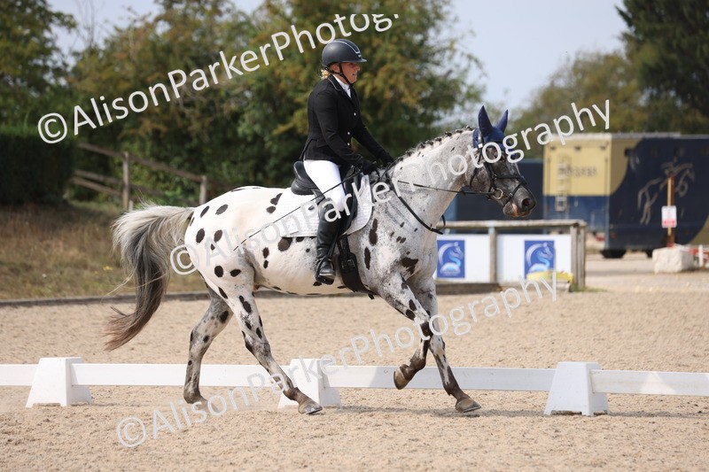 20250819-1583 - Class 5 - Novice 3