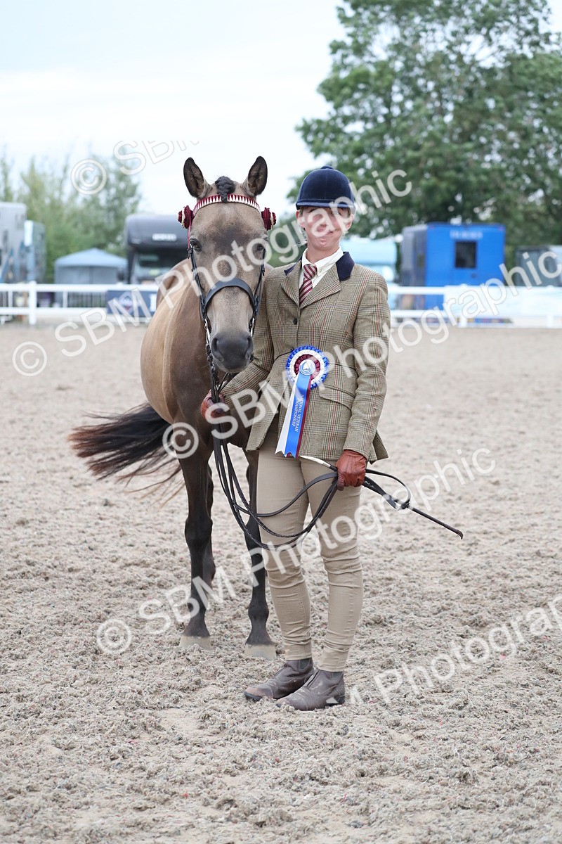 SBM_18413 - Class 318 IH Part bred Horse/Pony