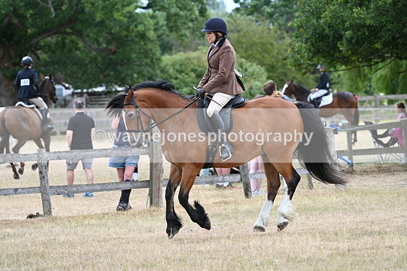 WJ7_0582 - Class 6 Ridden Mountain and Moorland