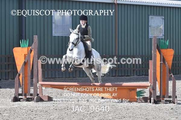 JAC_9640 - CLASS 1 Nursery Novice Working Hunter (0.50m)