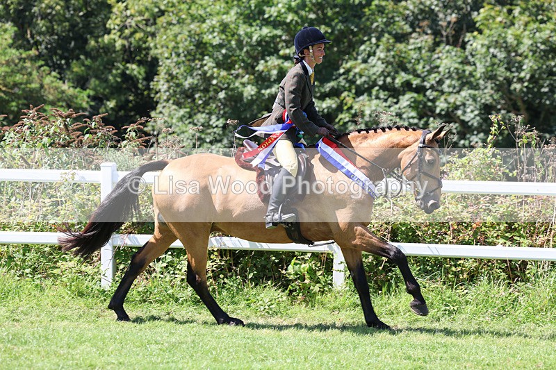 3E7A9347 - Working Hunter Championship