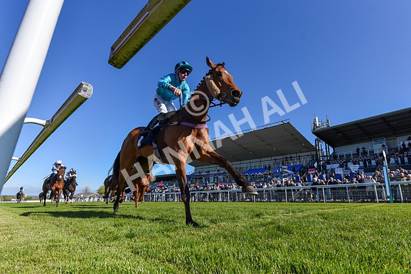 230426-Race 6-Tees George-6529 - Race 6