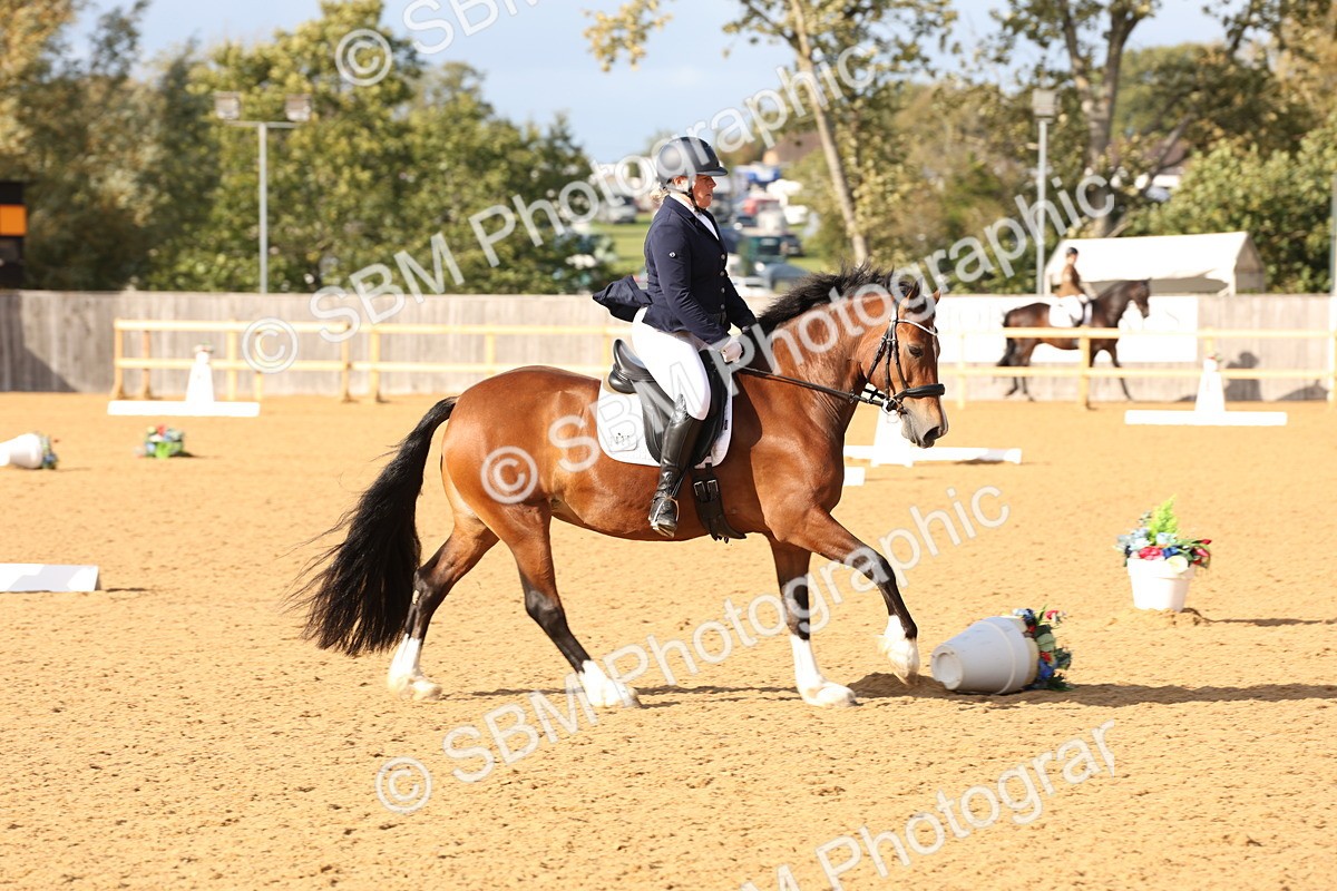 SBM_27011 - D17 - Grand Tour Championship Novice 3
