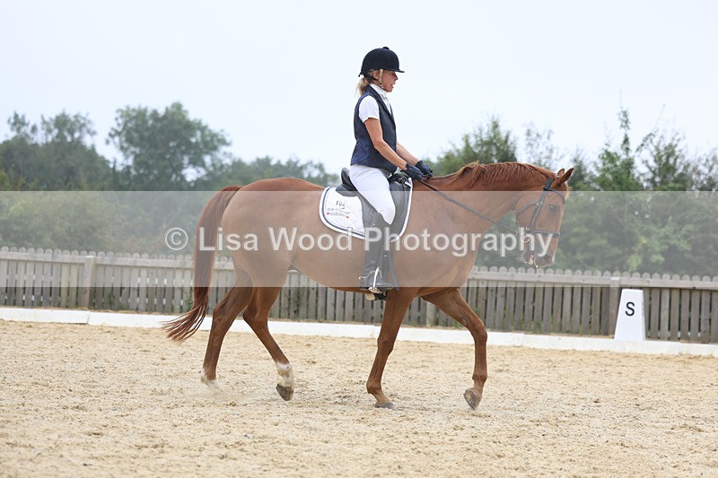 3E7A7413 - Class 9: Elementary 4 2024 - No sections