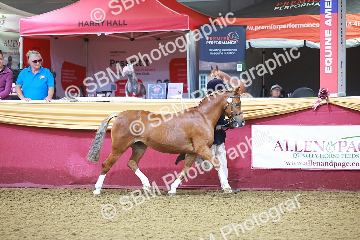 SBM_14670 - Class B - Junior Champ 11 to 16 Years