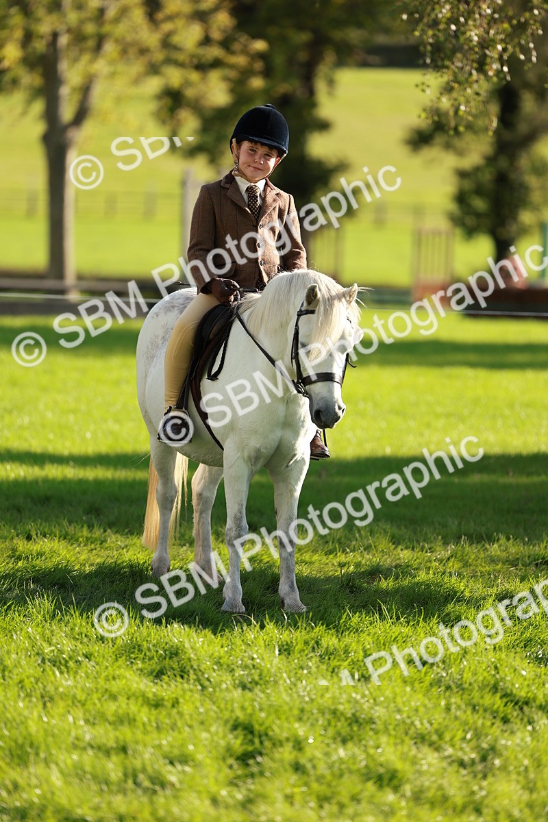 SBM_28699 - S7 - Novice & Newcomer Ridden Pony