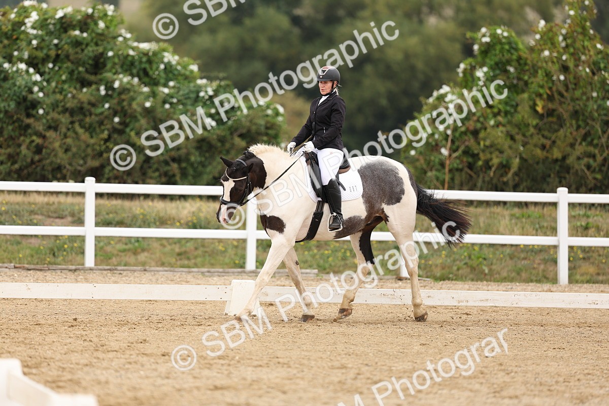SBM_01587 - Class 9 - Novice 27 Champs
