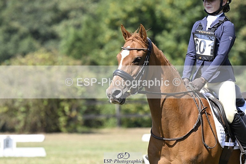 250822A-131325-22117 - DR 12.00 to End