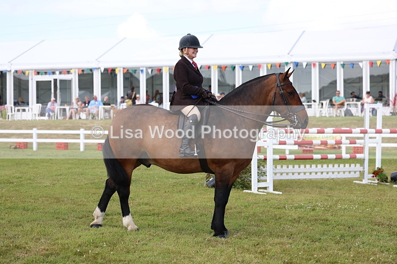 3E7A0126 - Class 5: Rising Star Lightweight/Heavyweight Cobs