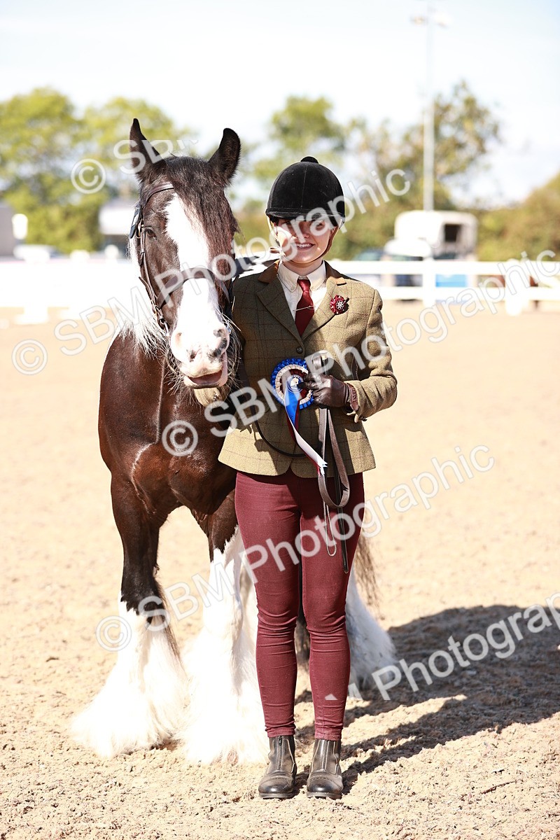 SBM_12617 - Class 404 - IH Traditional - Native Cob