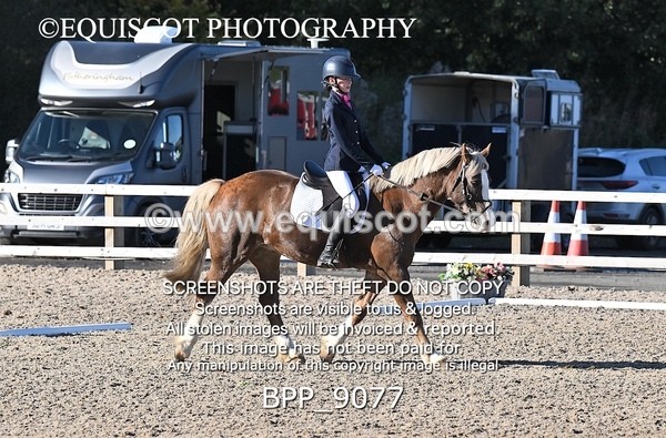 BPP_9077 - SHORT ARENA INTRO 3