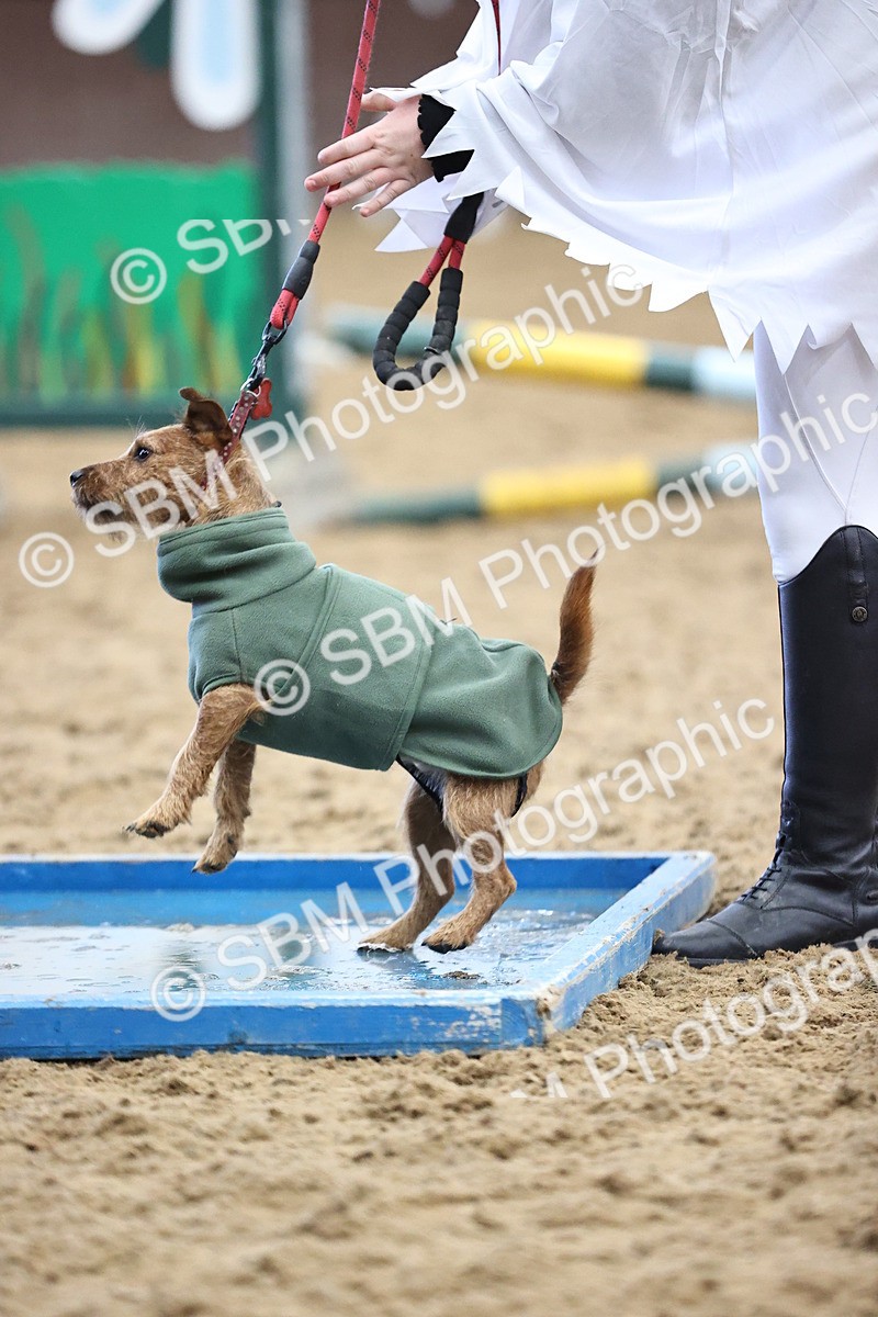 SBM_001519 - Class 3 - Horse & Hound 60cm